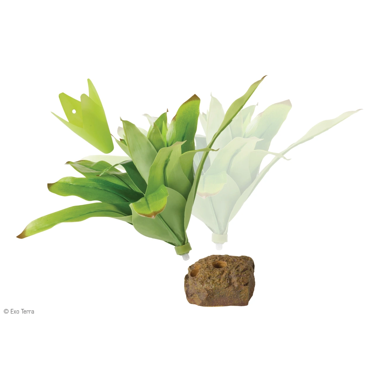 Exo Terra Bromelia Medium